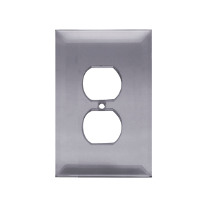 FHC Gray Duplex Plug Glass Mirror Plate