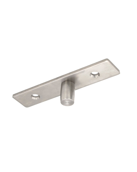 FHC Top Pivot Center-Hung Free Swing